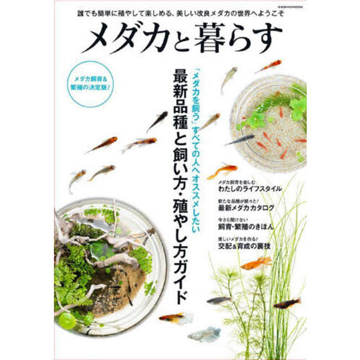 メダカと暮らす　「メダカを飼う」すべての人へオススメしたい最新品種と飼い方・殖やし方ガイド