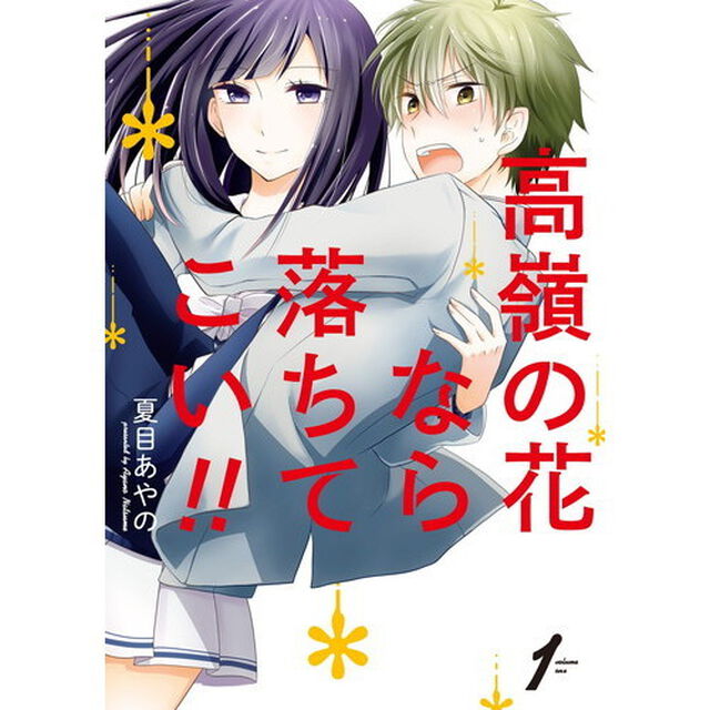 高嶺の花なら落ちてこい！！　１　特典付き