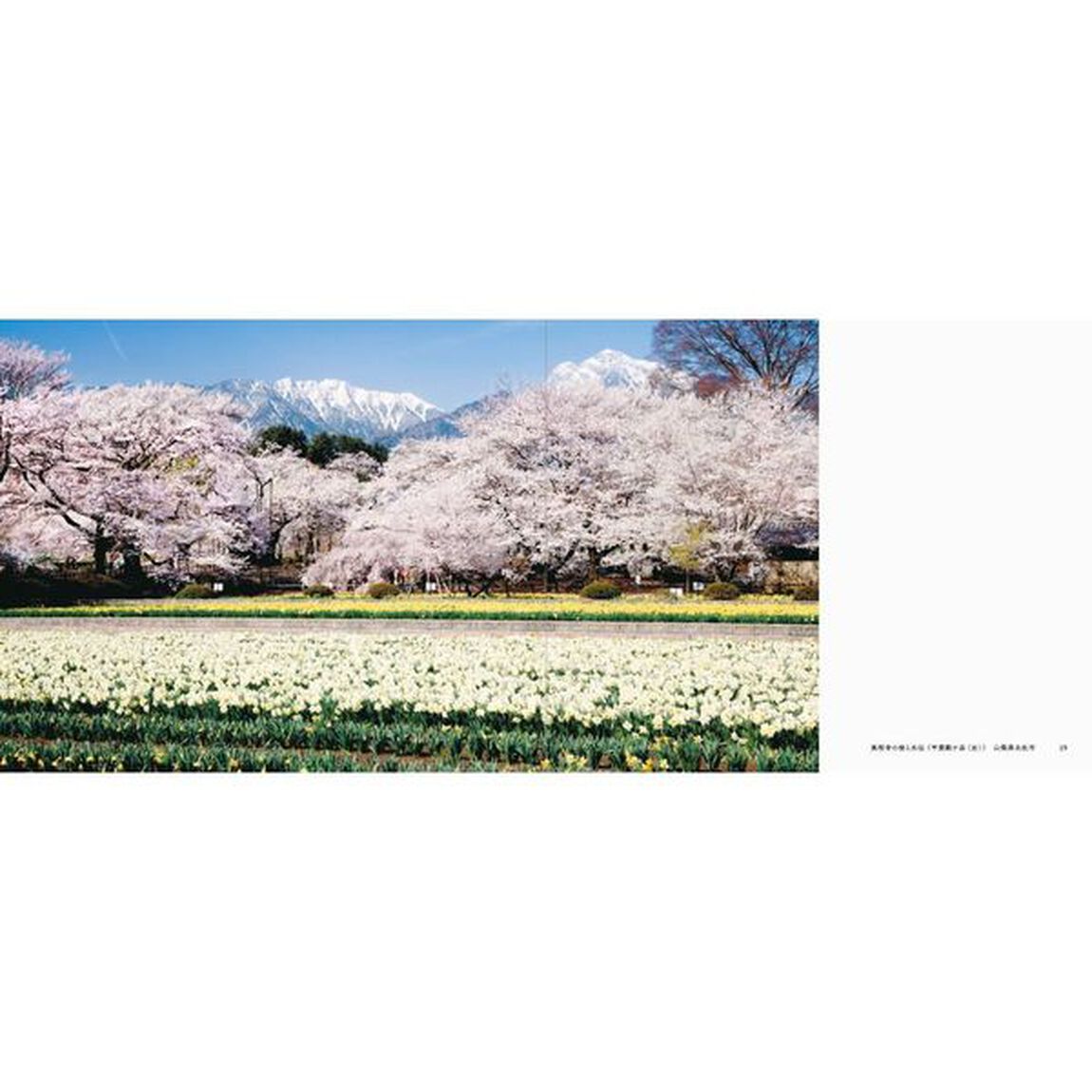 日本の美しい里と花の絶景
