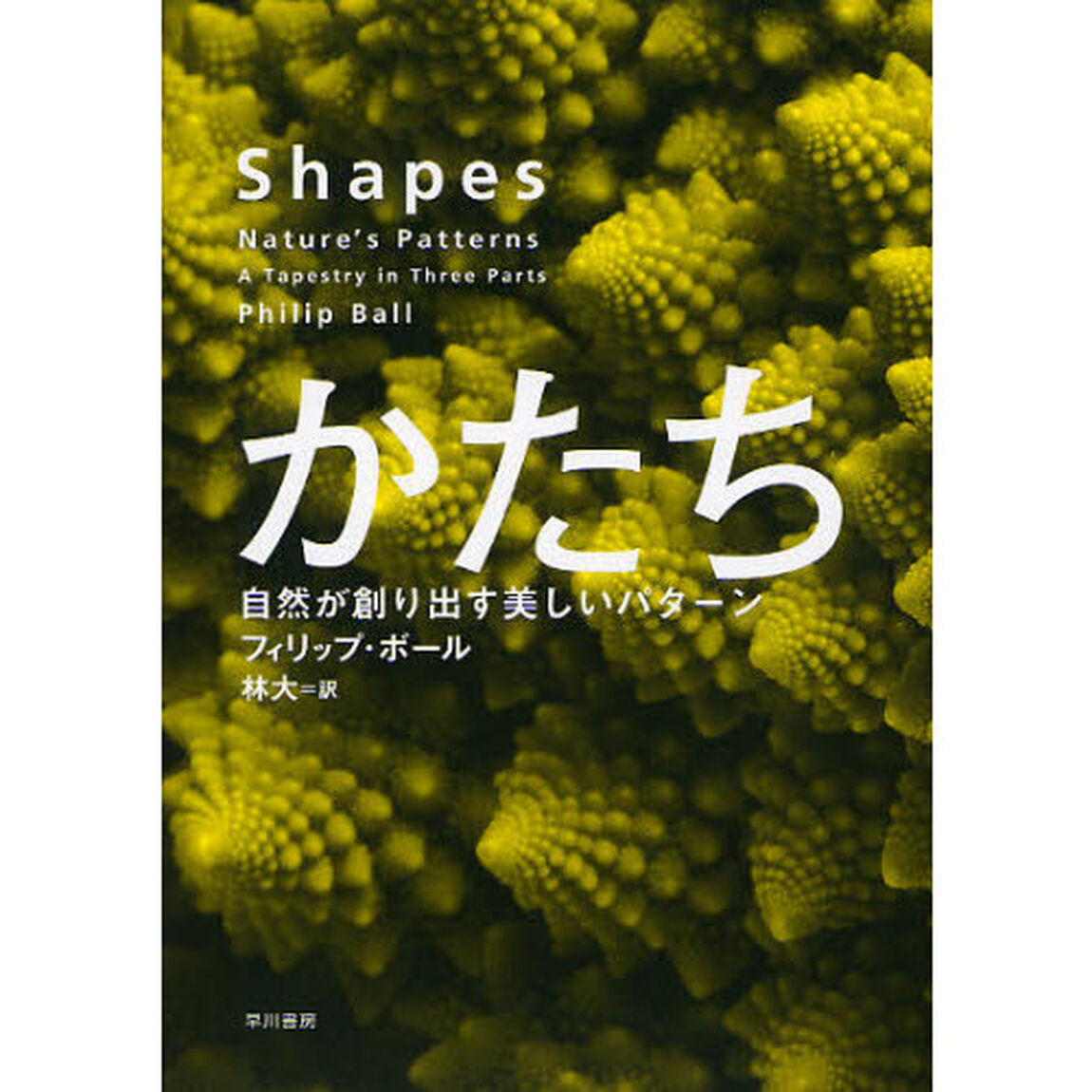 かたち　自然が創り出す美しいパターン