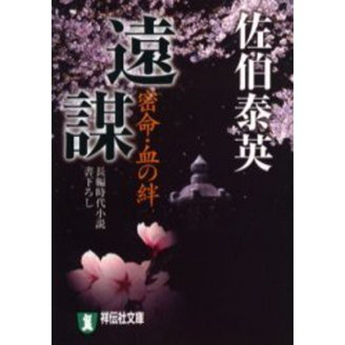 遠謀　密命・血の絆　長編時代小説