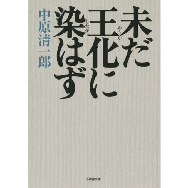 未だ王化に染（したが）はず