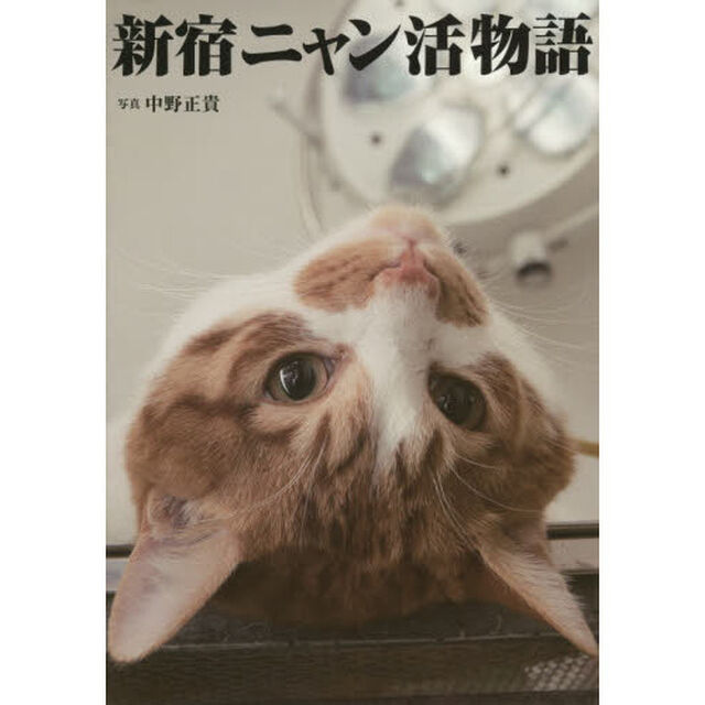 新宿ニャン活物語