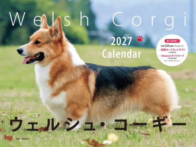 &rsquo;２７　カレンダーワイド判ウェルシュ・コ