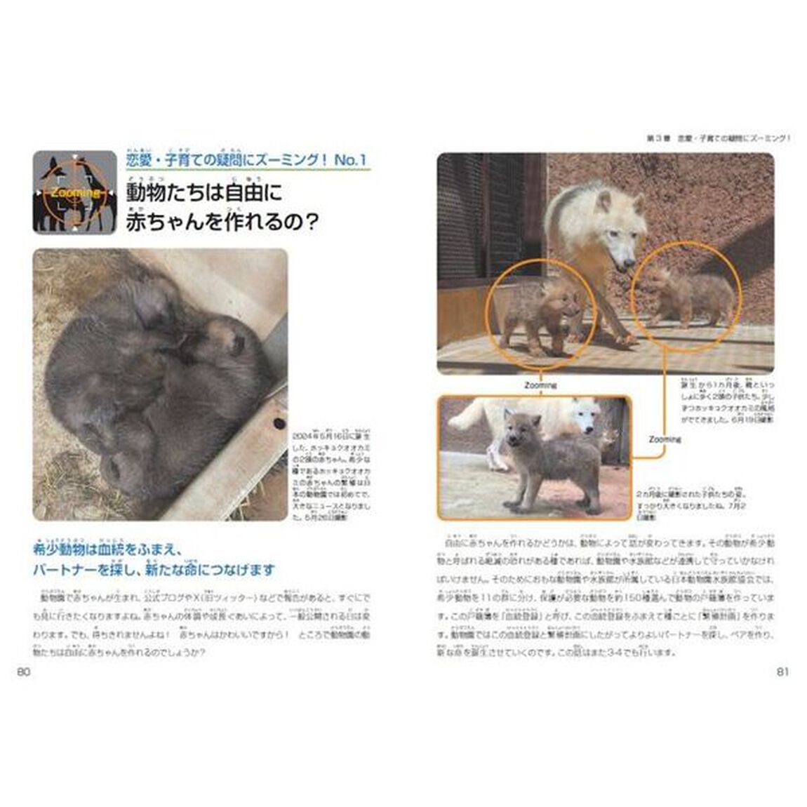 ズーミング！動物園　疑問を拡大していけば仕組みが見えてくる！