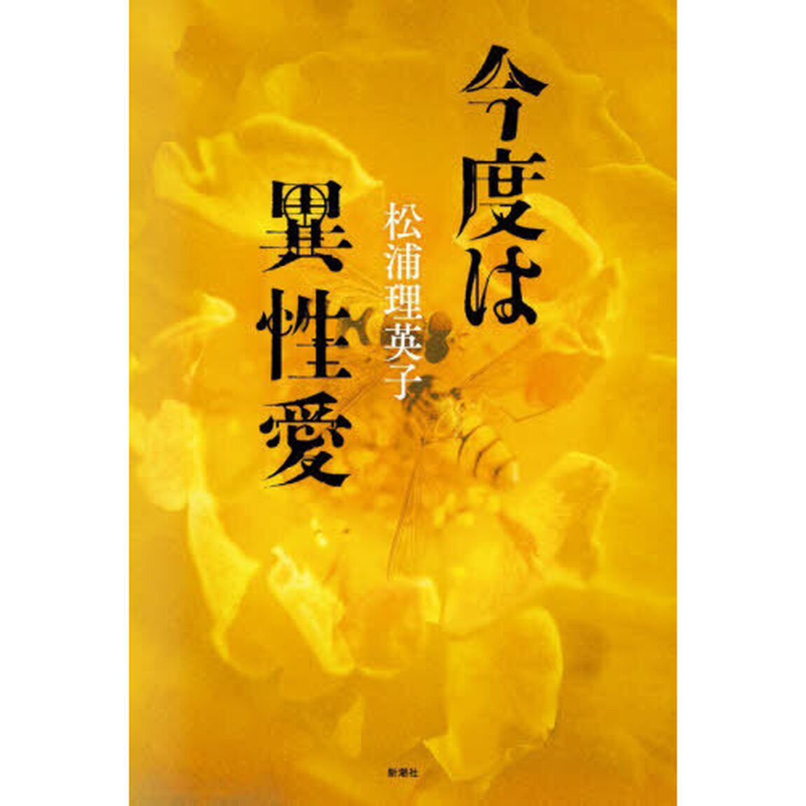今度は異性愛
