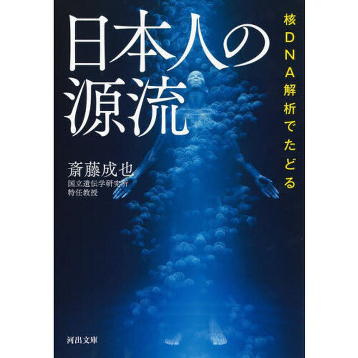 核ＤＮＡ解析でたどる日本人の源流