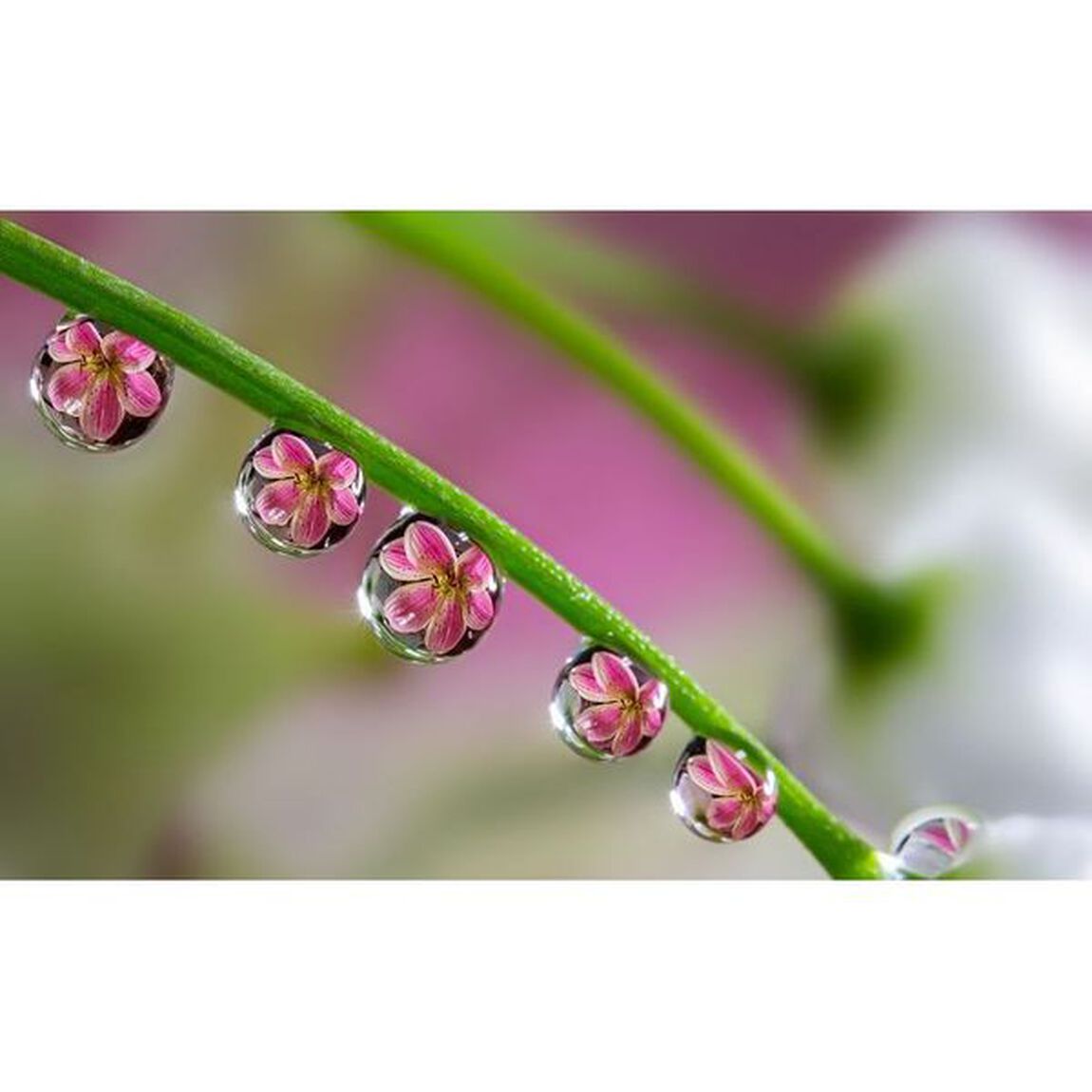 幸せのしずく World of Water Drops