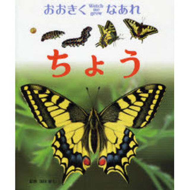 ちょう