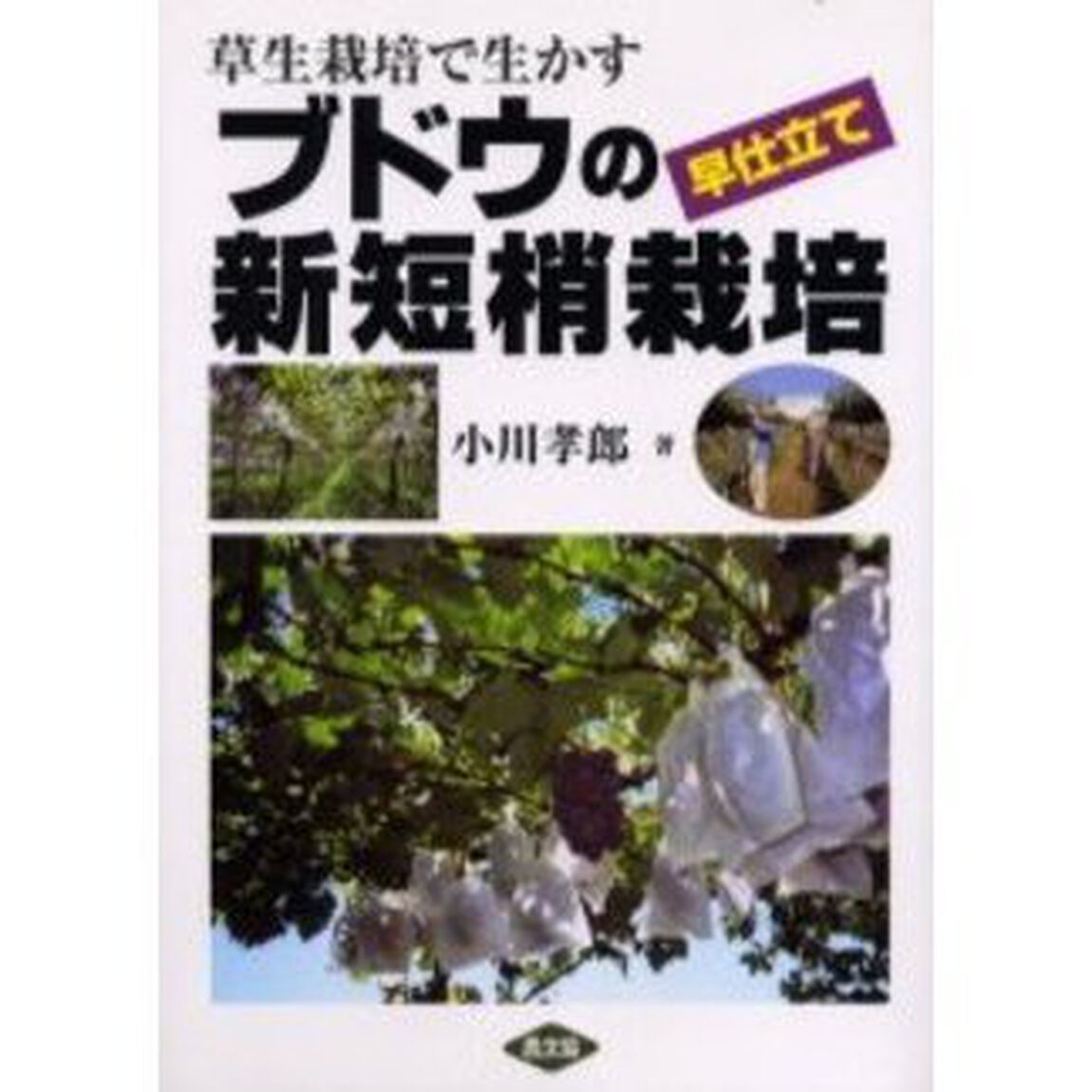 草生栽培で生かすブドウの早仕立て新短梢栽培