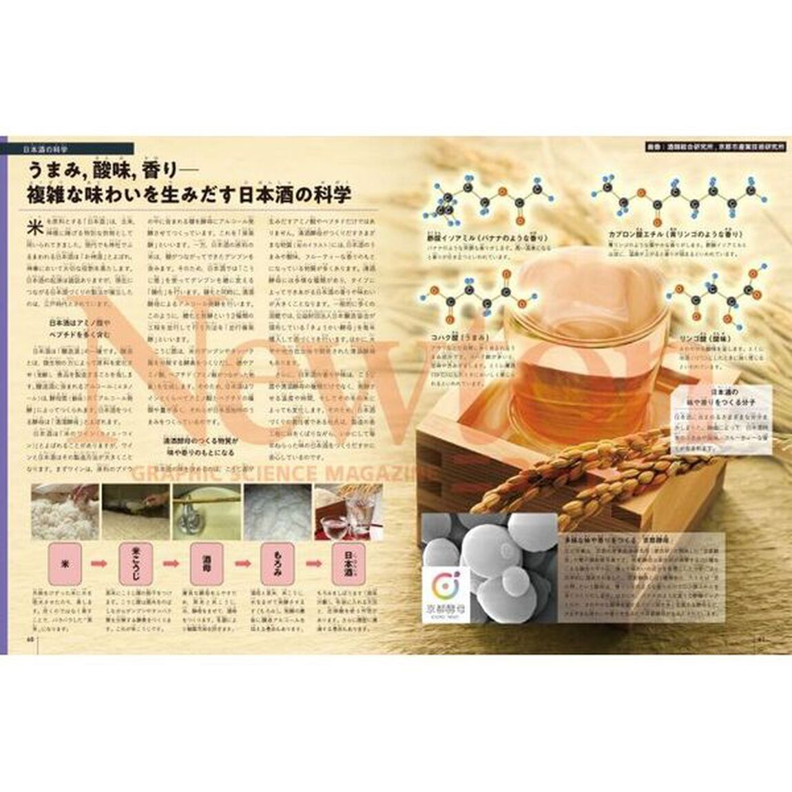 和の匠のサイエンス　和の伝統工芸を科学する