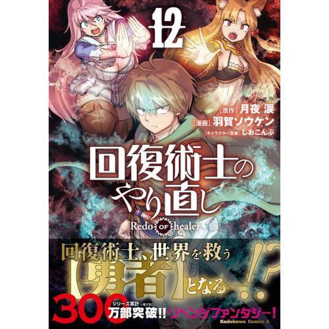 回復術士のやり直し　１２