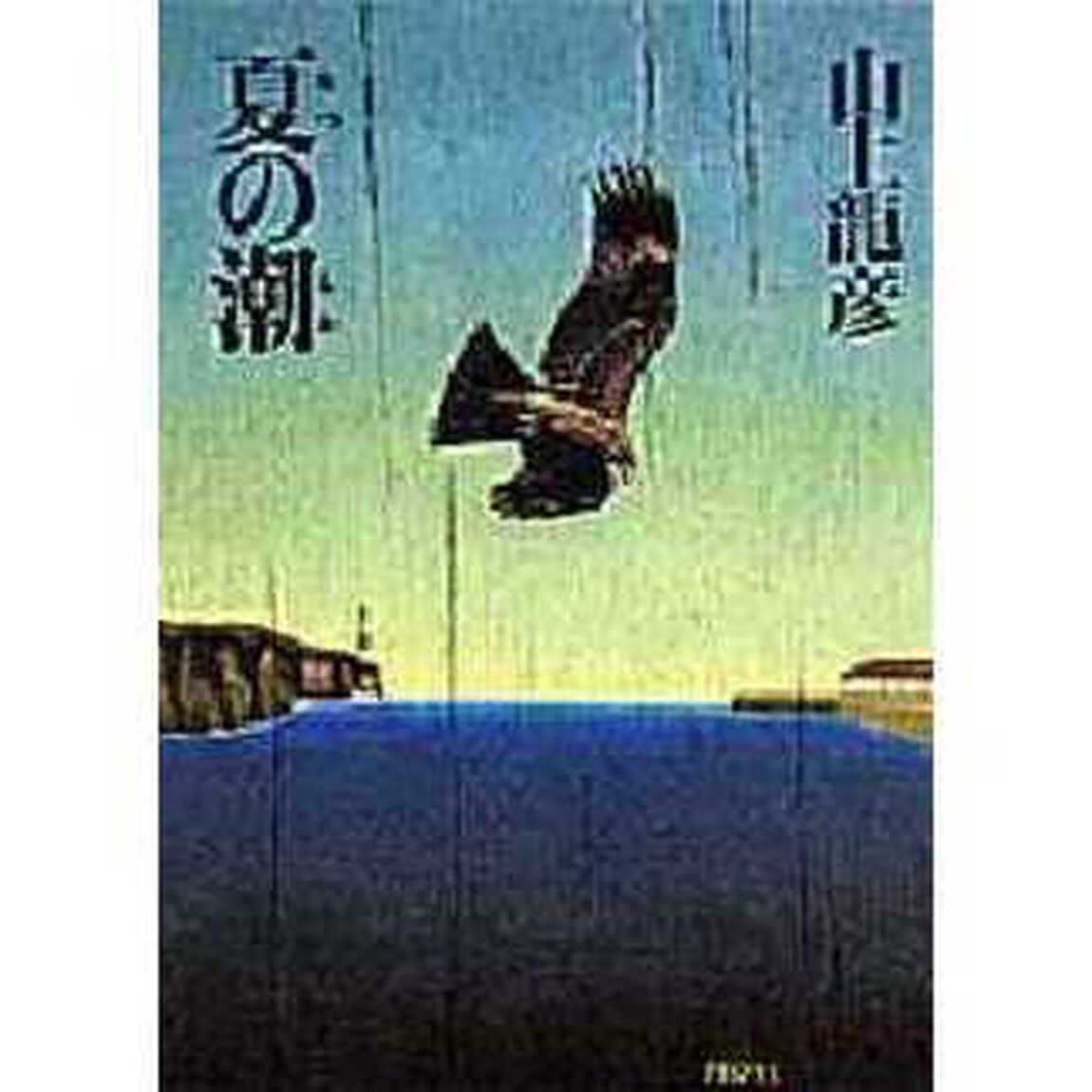 夏の潮
