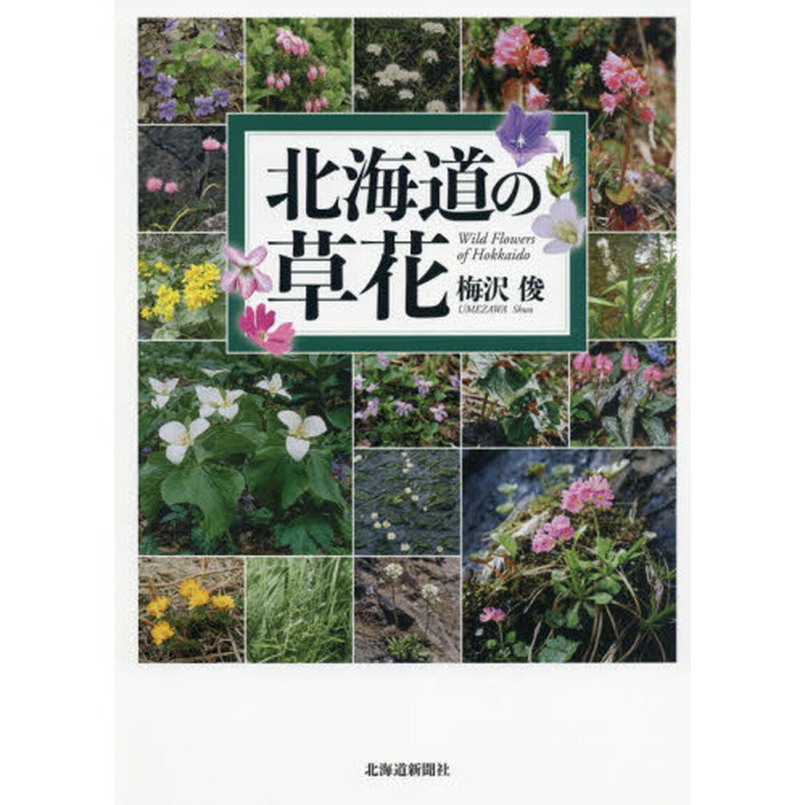 北海道の草花