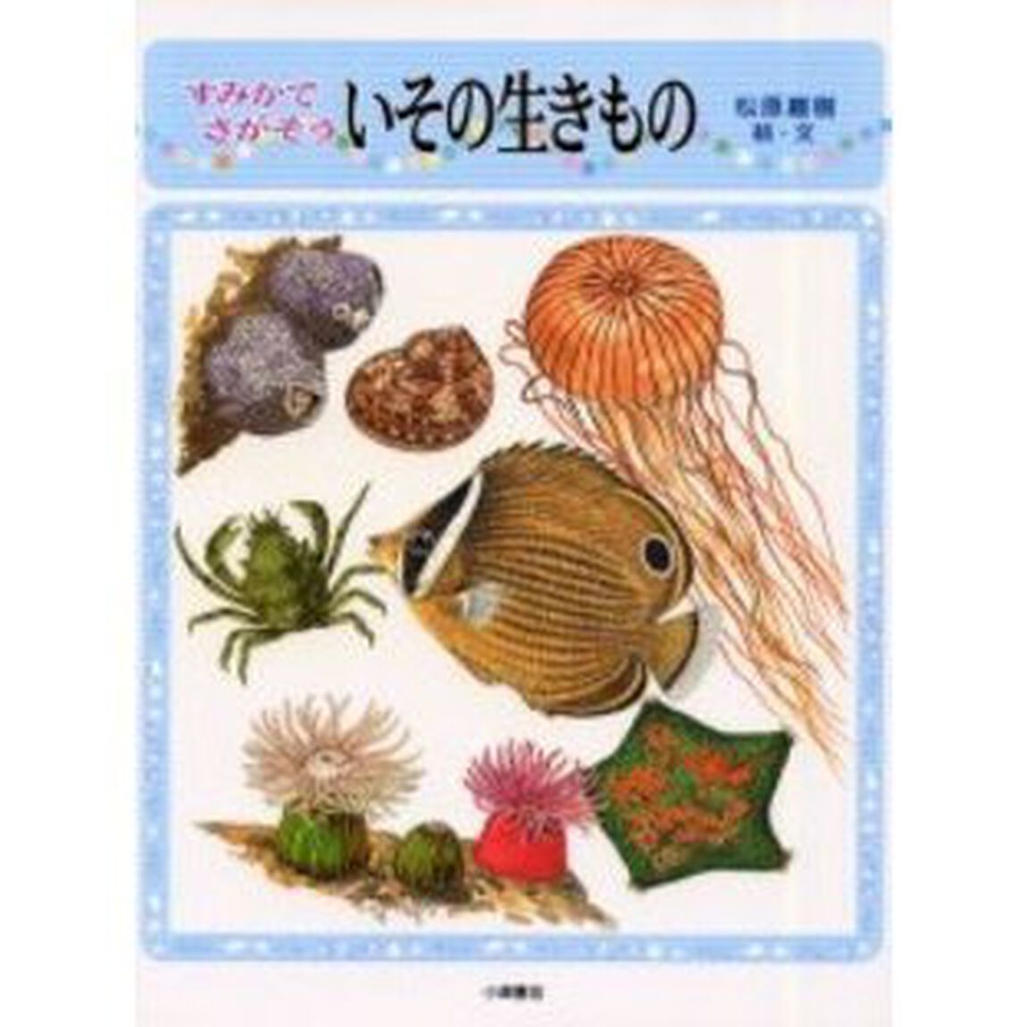 すみかでさがそういその生きもの