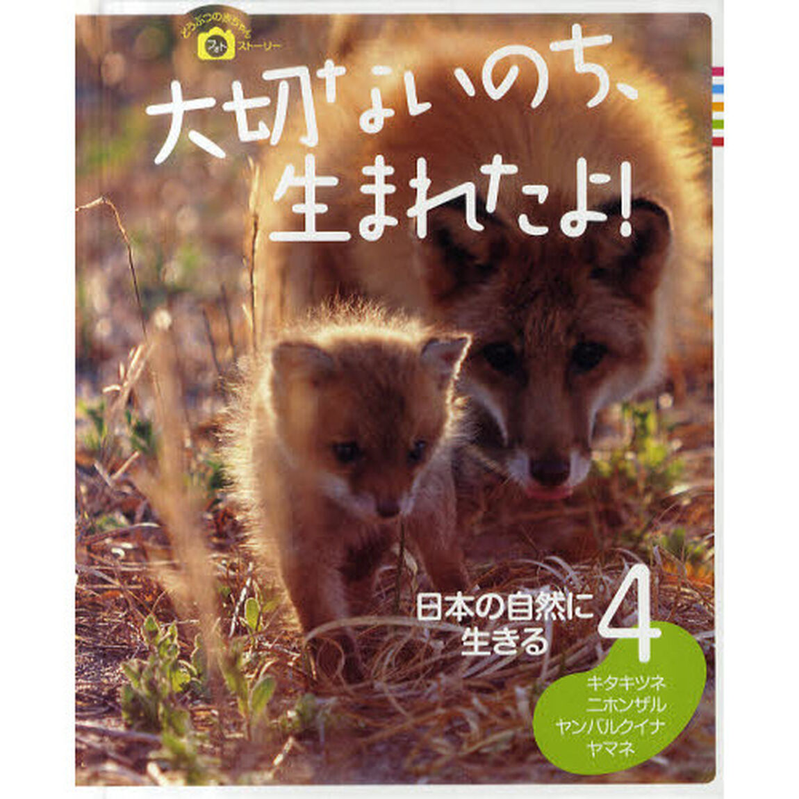 大切ないのち、生まれたよ！　どうぶつの赤ちゃんフォトストーリー　４「日本の自然に生きる　キタキツネ・ニホンザル・ヤンバルクイナ・ヤマネ」