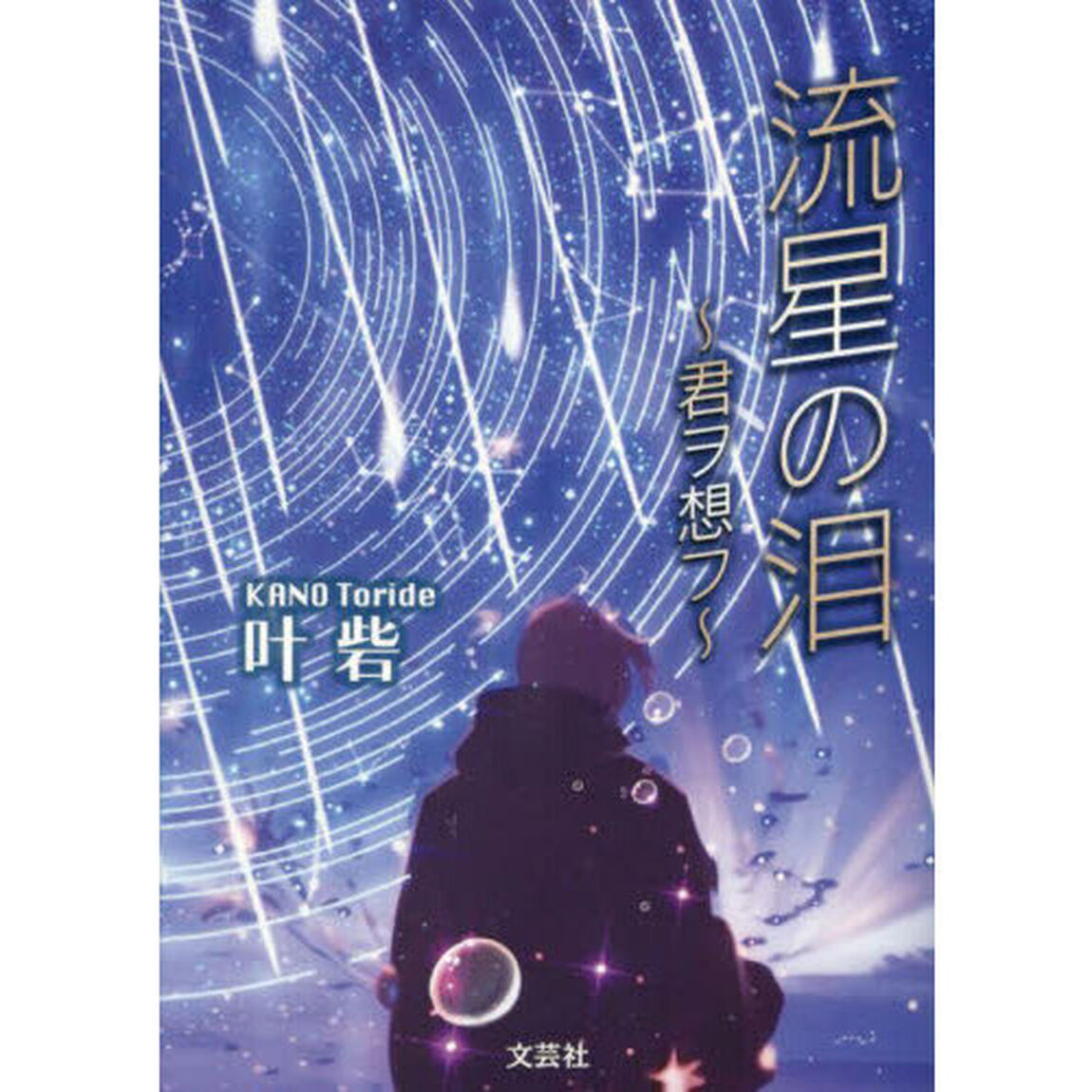 流星の泪　〜君ヲ想フ〜