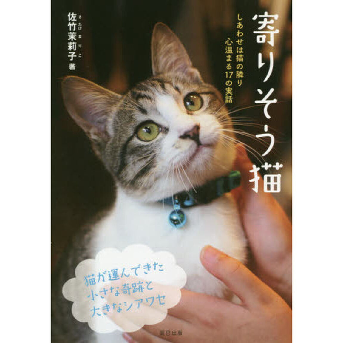 寄りそう猫