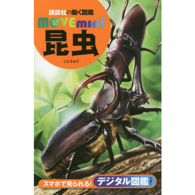 昆虫