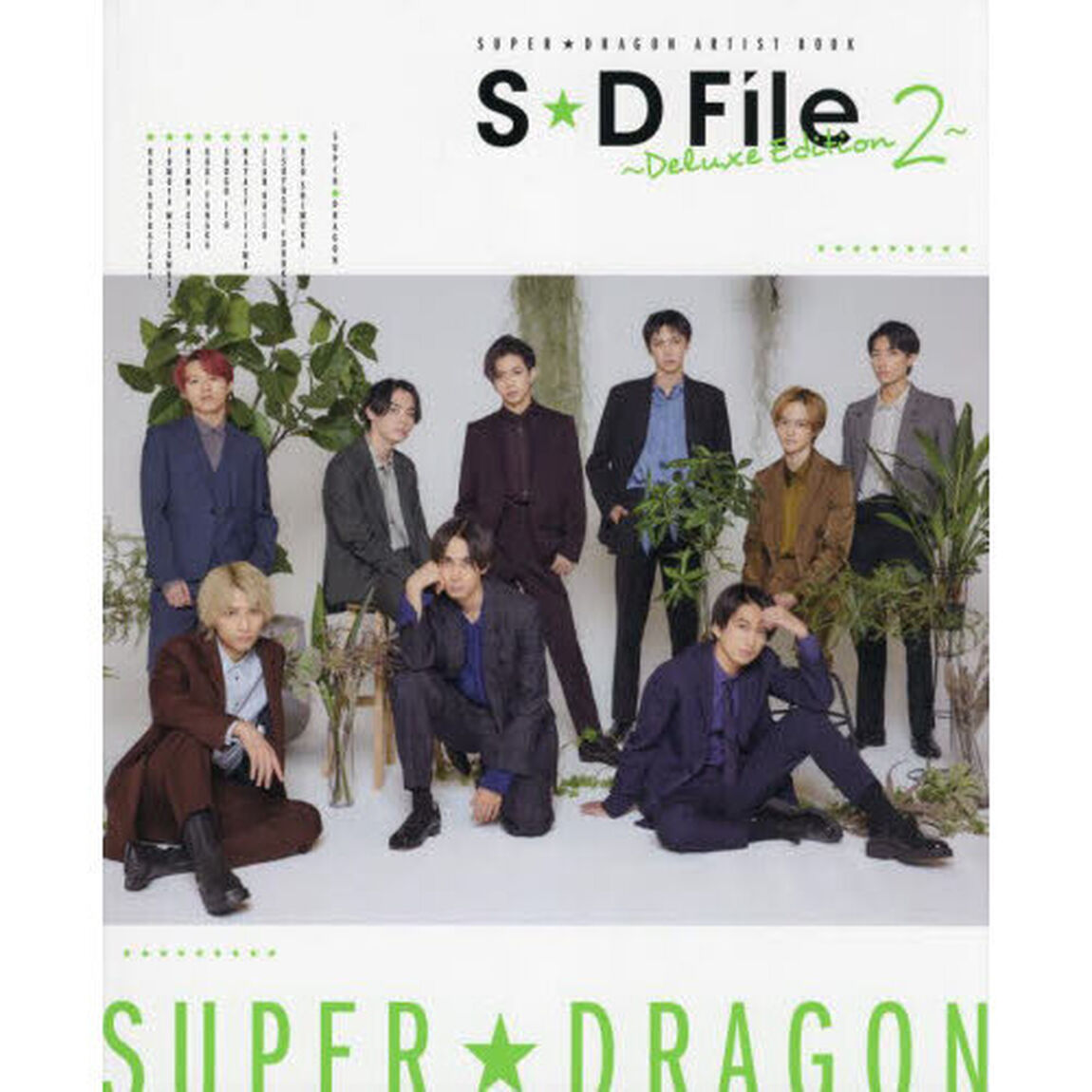 Ｓ★Ｄ　Ｆｉｌｅ〜Ｄｅｌｕｘｅ　Ｅｄｉｔｉｏｎ〜　ＳＵＰＥＲ★ＤＲＡＧＯＮ　ＡＲＴＩＳＴ　ＢＯＯＫ　２