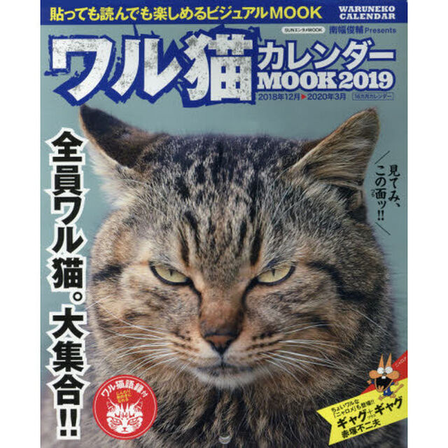 ワル猫カレンダーＭＯＯＫ　貼っても読んでも楽しめるビジュアルＭＯＯＫ　２０１９