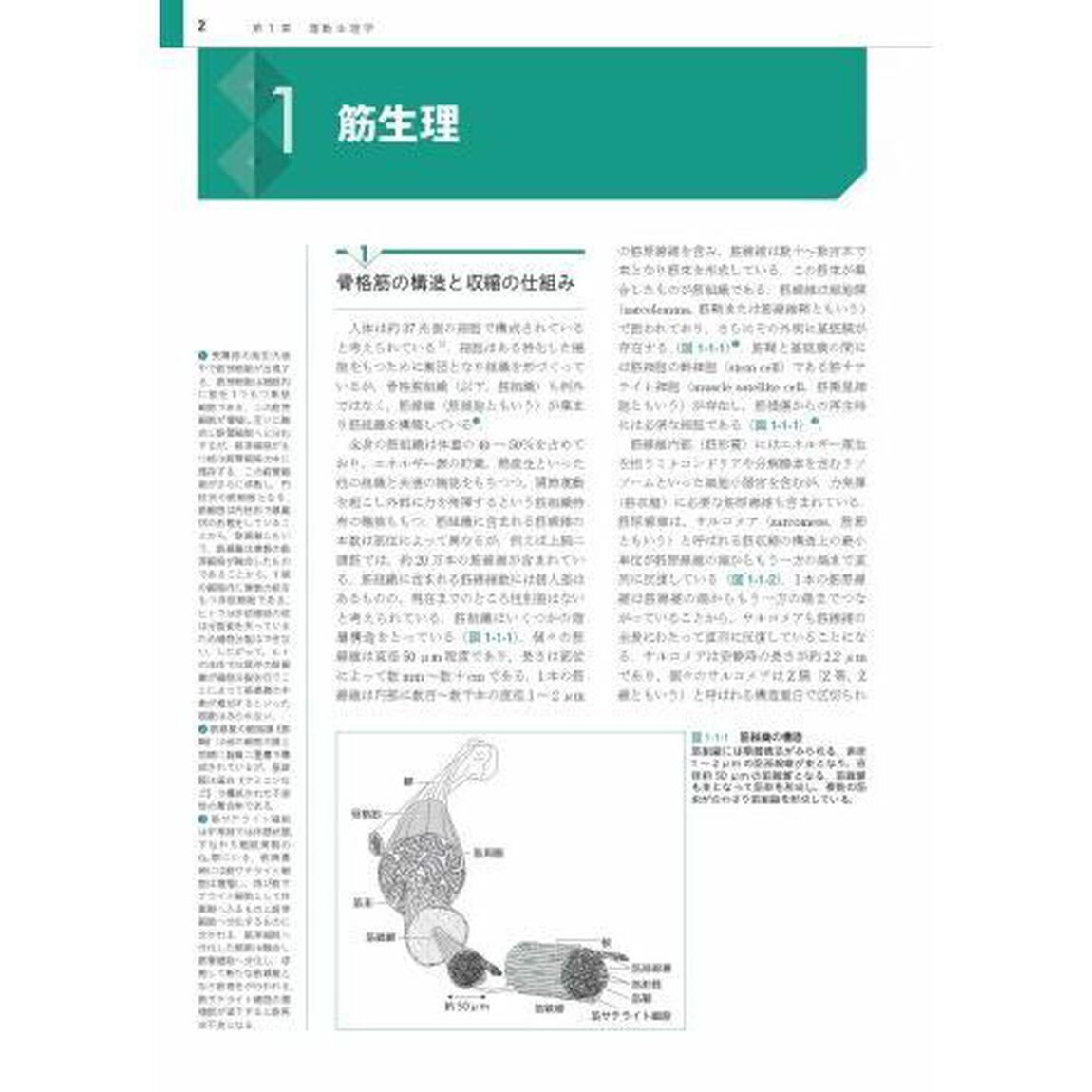 スポーツ科学概論