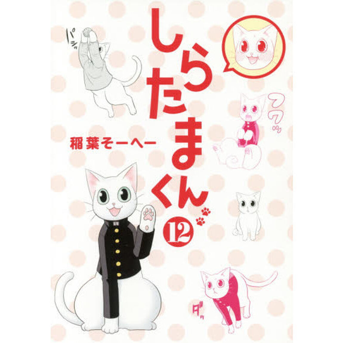 しらたまくん　１２