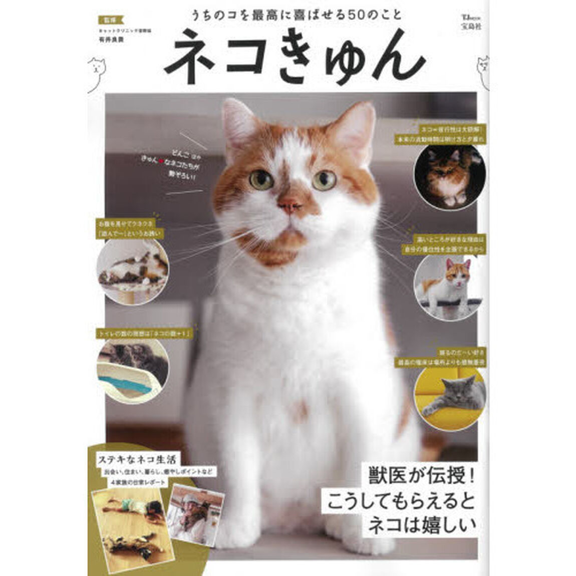 ネコきゅん　うちのコを最高に喜ばせる５０のこと