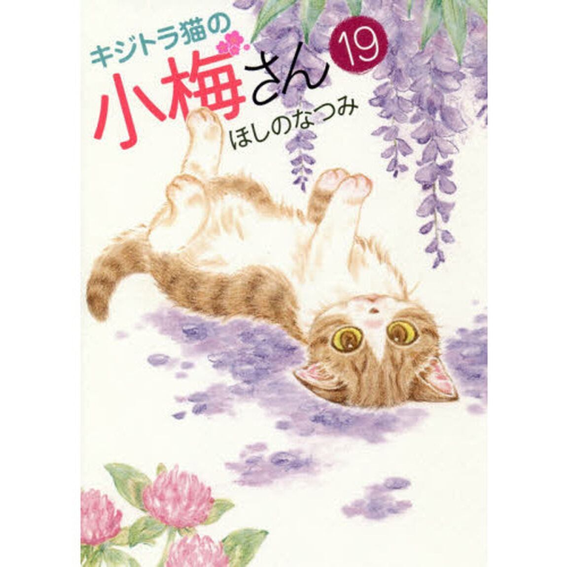 キジトラ猫の小梅さん　１９