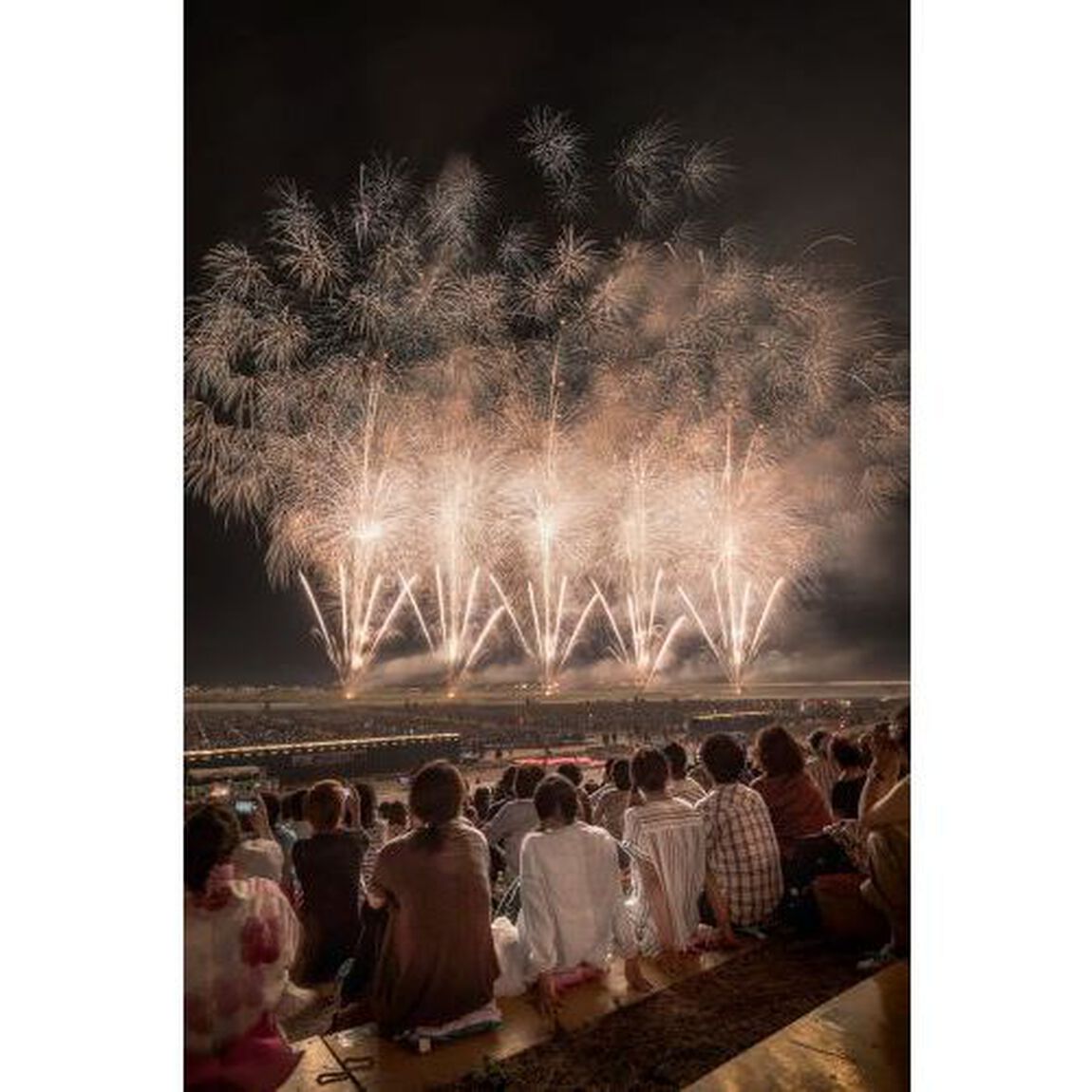 夏Ｗａｌｋｅｒ　首都圏版　２０１９