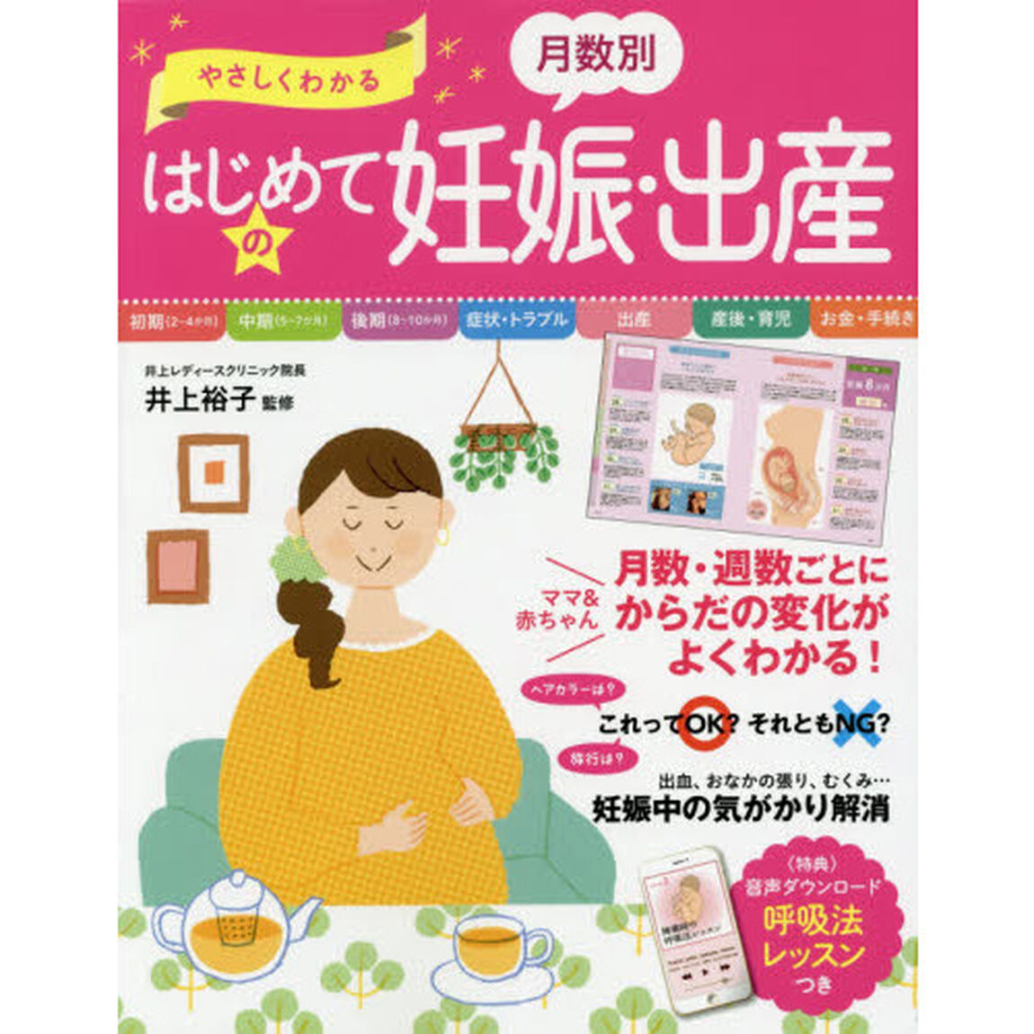 やさしくわかる月数別はじめての妊娠・出産