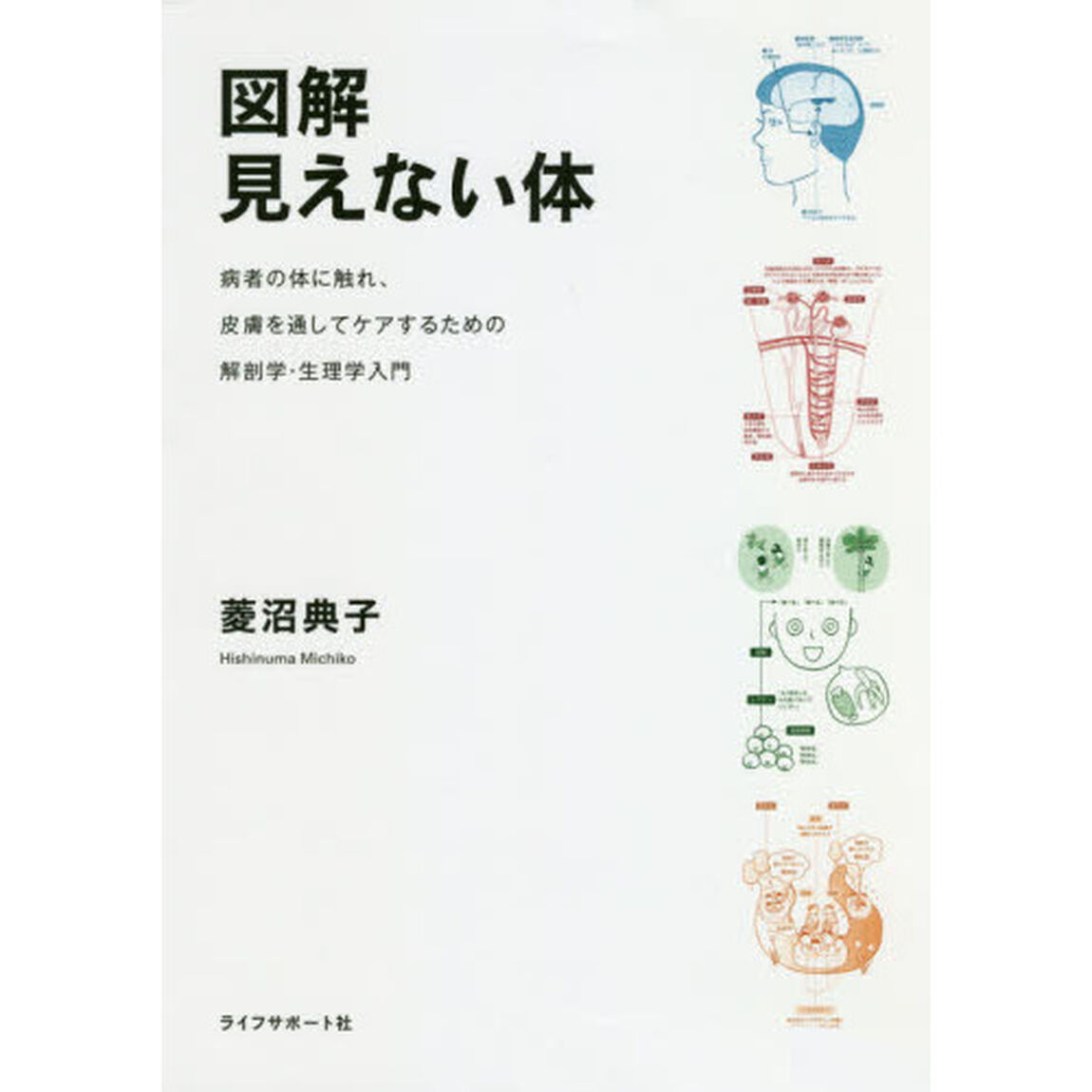 図解見えない体　病者の体に触れ、皮膚を通してケアするための解剖学・生理学入門