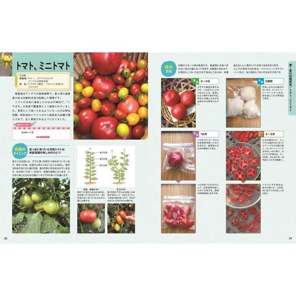 おいしく長く楽しめる！収穫野菜の保存テク＆レシピ