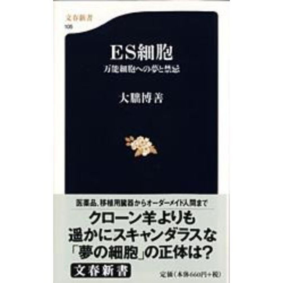 ＥＳ細胞　万能細胞への夢と禁忌