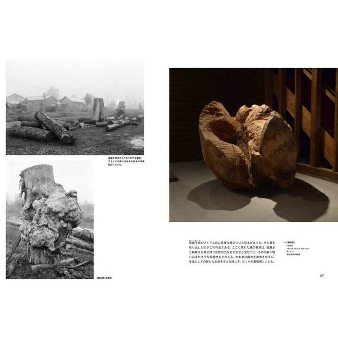 砂澤ビッキ風を彫った彫刻家　作品と素描