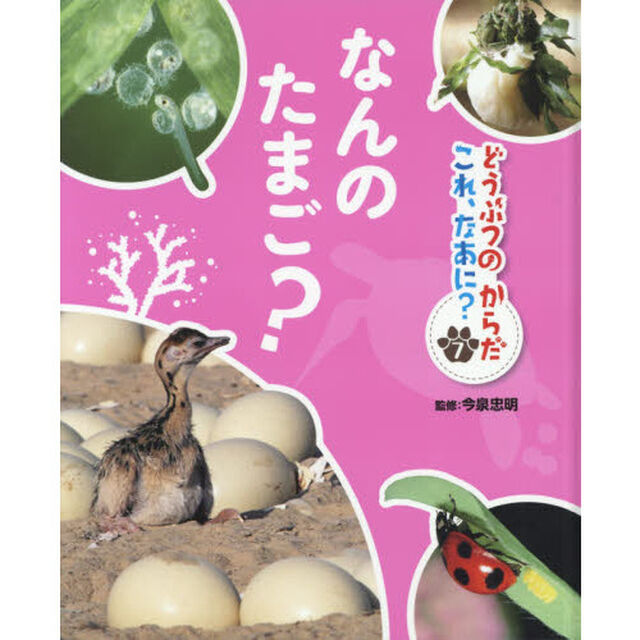 どうぶつのからだこれ、なあに？　７「なんのたまご？」