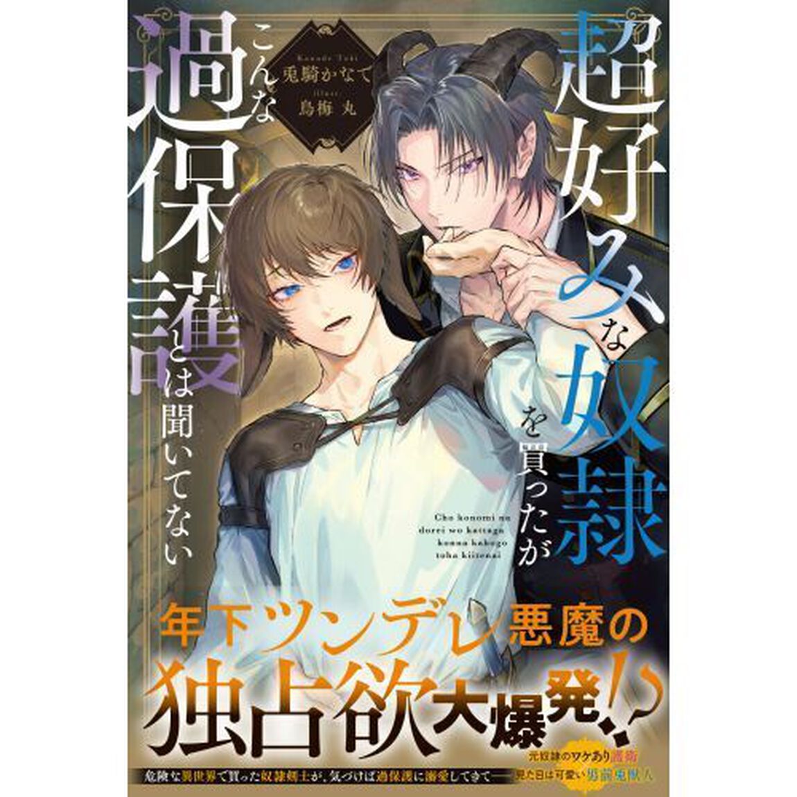 超好みな奴隷を買ったがこんな過保護とは聞いてない