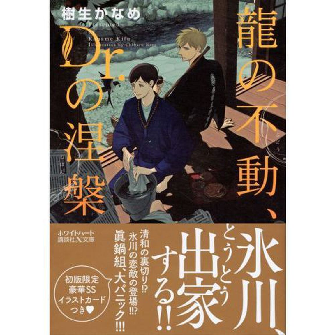龍の不動、Ｄｒ．の涅槃
