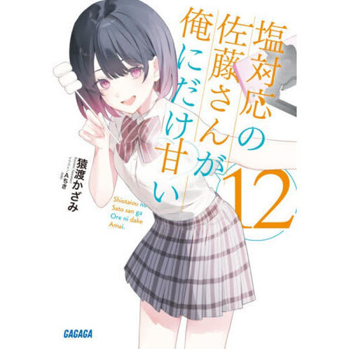 塩対応の佐藤さんが俺にだけ甘い　１２