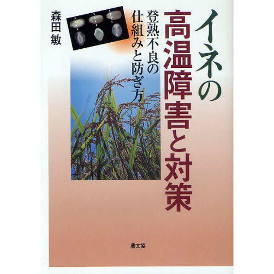 イネの高温障害と対策　登熟不良の仕組みと防ぎ方