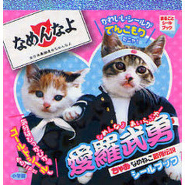 なめんなよ愛羅武勇　ちゃおなめねこ最強伝説シールブック