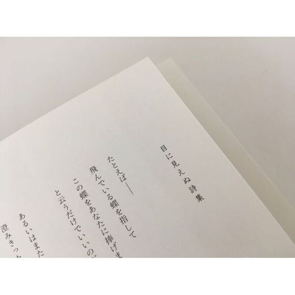 目に見えぬ詩集　詩画集