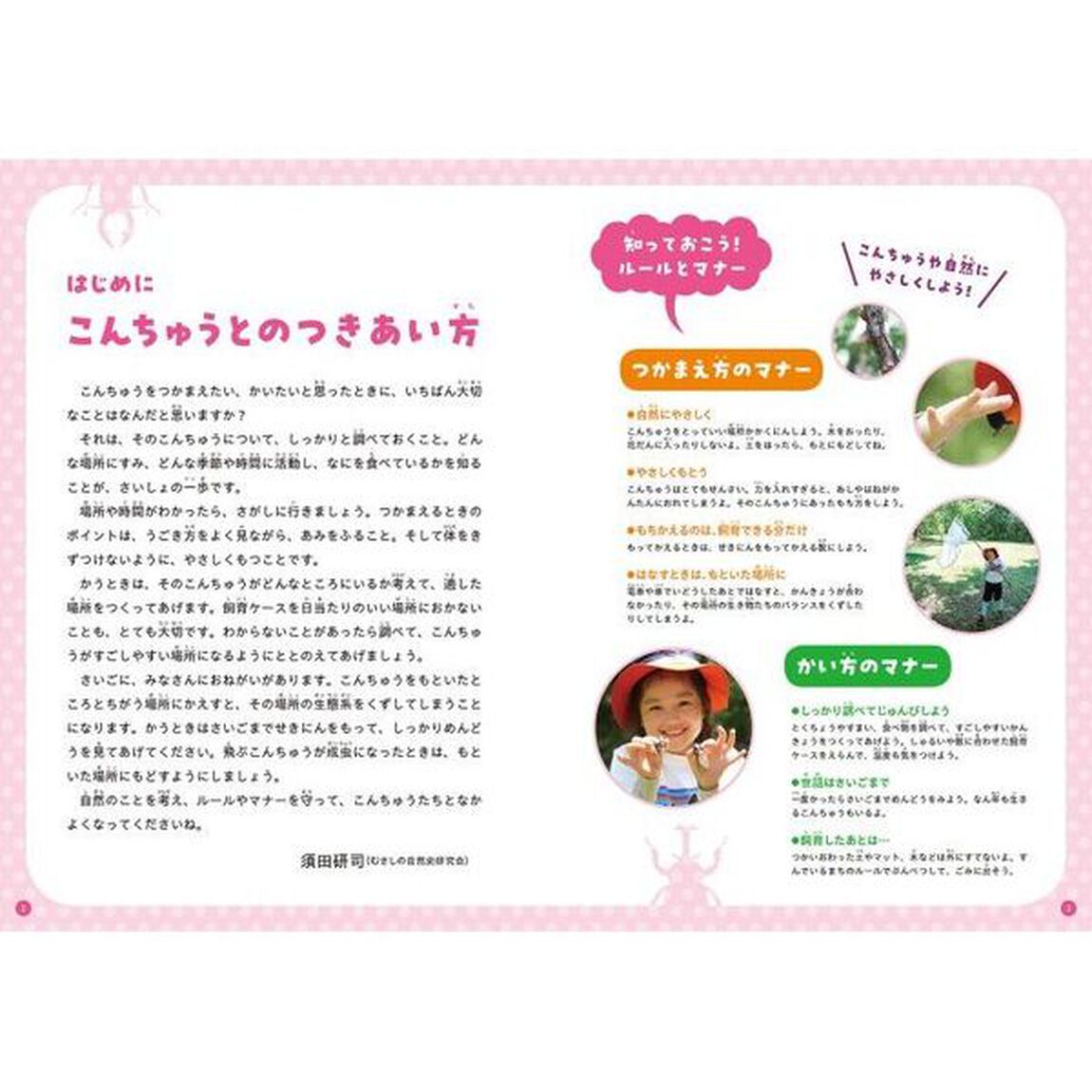 くらべてわかる！こんちゅう図鑑　〔１〕「つかまえ方とかい方」