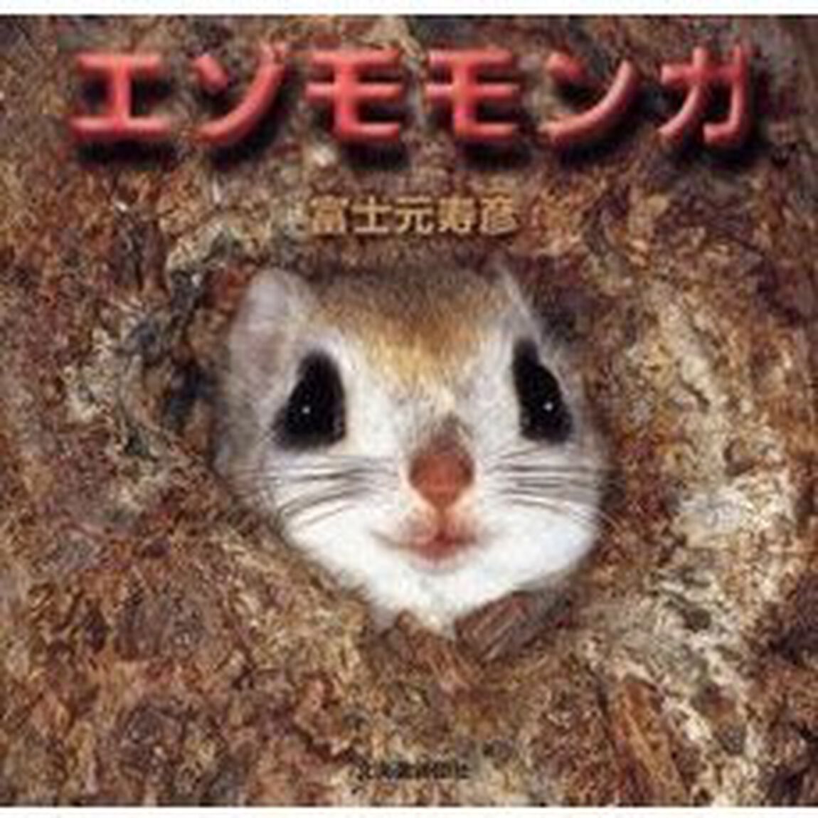 エゾモモンガ