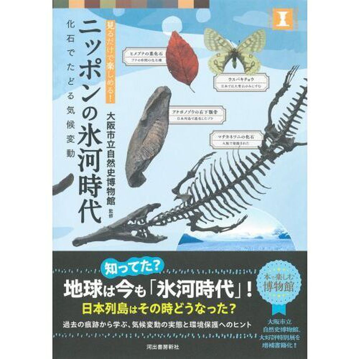 ニッポンの氷河時代　見るだけで楽しめる！　化石でたどる気候変動