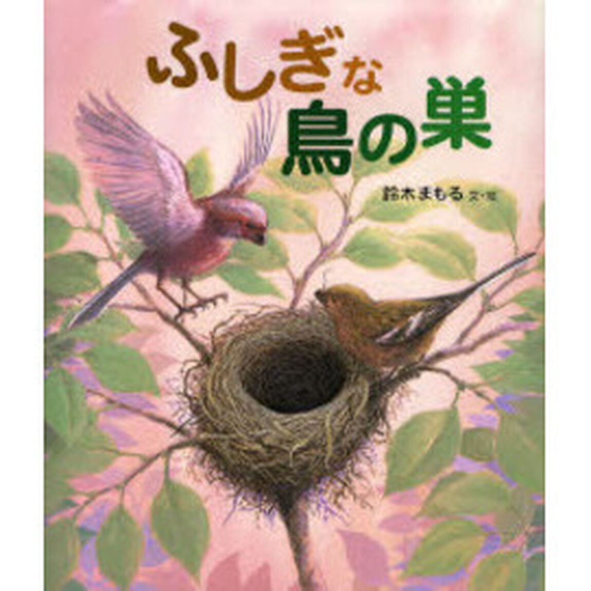 ふしぎな鳥の巣