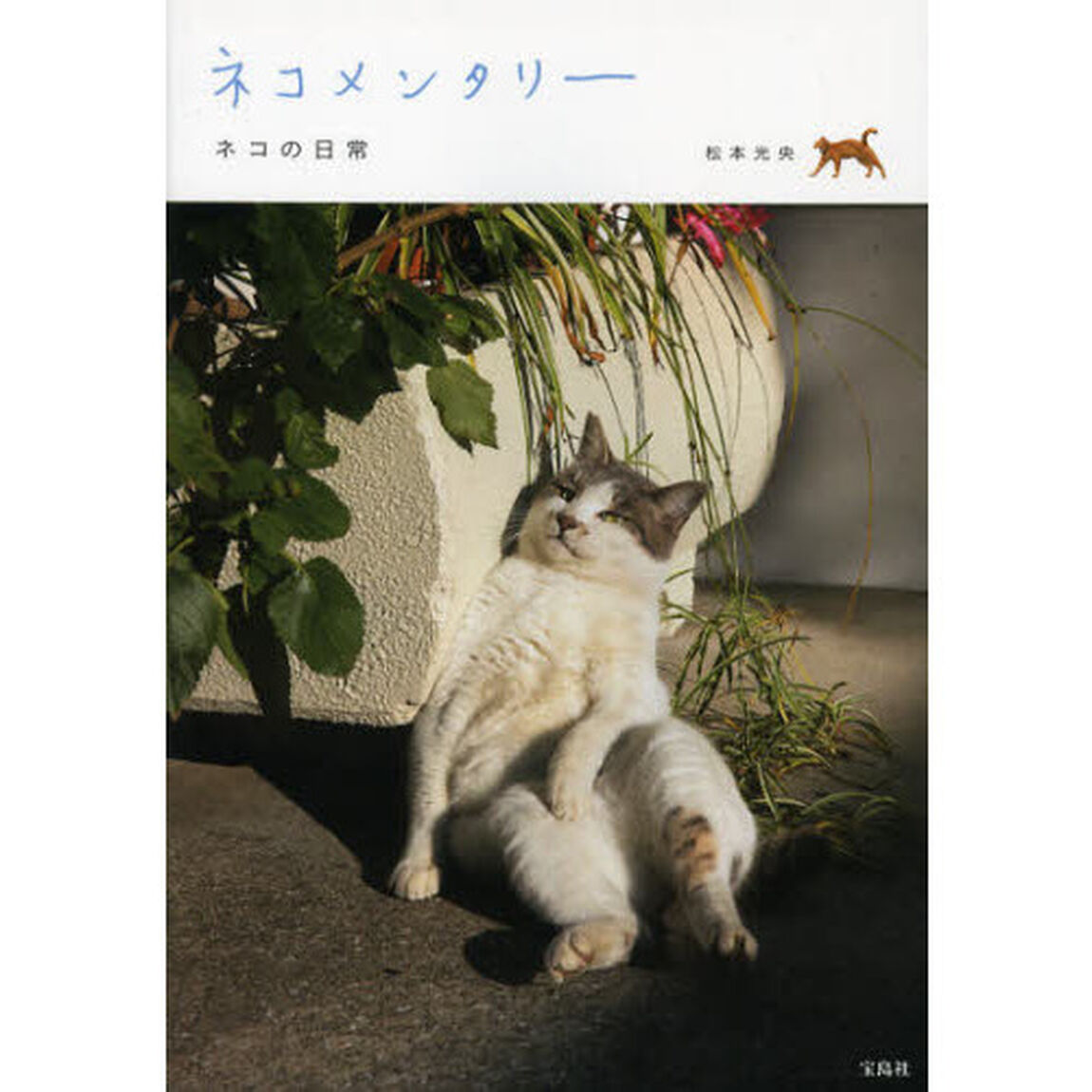 ネコメンタリー　ネコの日常