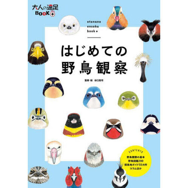 はじめての野鳥観察