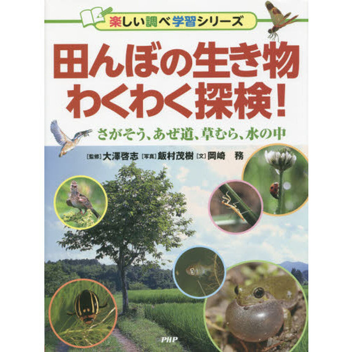 田んぼの生き物わくわく探検！　さがそう、あぜ道、草むら、水の中