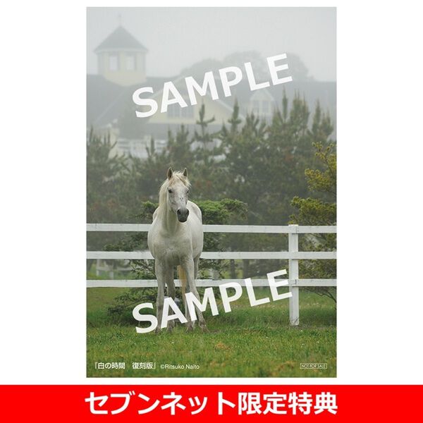 白の時間 : 名馬オグリキャップ引退後二十年の日々 : 内藤律子写真集 特典つき 白の時間 復刻版 名馬オグリキャップ引退後二十年の日々【セブンネット